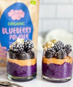 Alternative view of Pudră de Afine Sălbatice 70 g – Organică